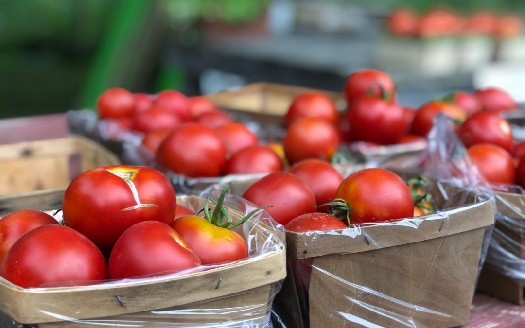 Greenville Michigan Local Food Guide: Best Places to Eat